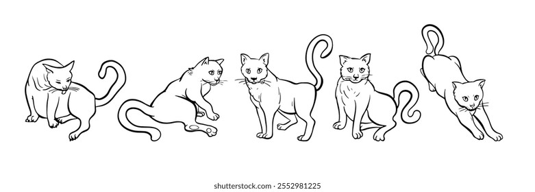 Set of cats in different poses. Free hand domestic pet illustration. Adorable feline animals, sleeping, sitting. Kitten stretches and washes. Trendy doodle collection. Sketch style crooked vector.