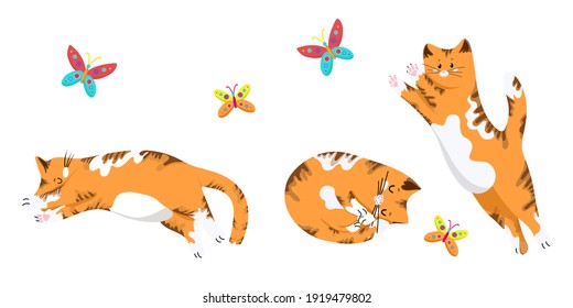 


Set of cats in different poses, funny red kittens, cat jumping for a butterfly, cute pets in cartoon style, vector objects on a white background, hand draw.
