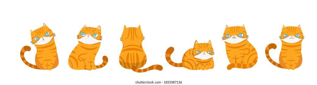 Set of cats in different poses, Isolated on white background. Character design. Vector illustration, Cartoon doodle style.