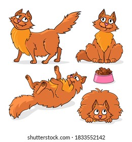 Set of cats in different poses, Isolated on white background. Character design. Cartoon style, Vector illustration
