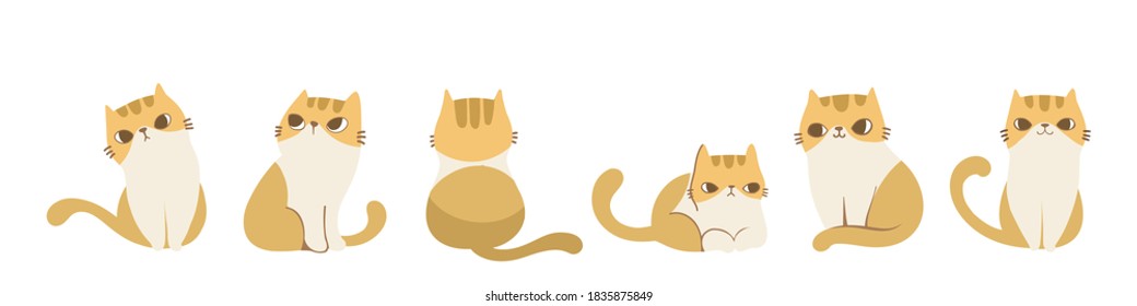 Set of cats in different poses, Isolated on white background. Character design. Vector illustration, Cartoon doodle style.