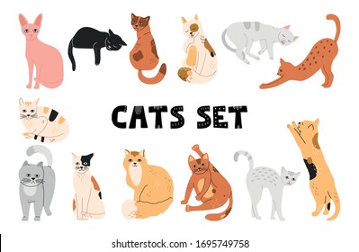 Set of cats, funny different pets, sleeping, sitting, standing, vector illustration, flat style, white isolated background.