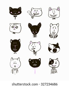 Set of cats heads. Face kitten, whiskers and ears, muzzle and wool. Vector illustration