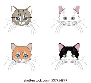 Set of cats heads. Face kitten, whiskers and ears, muzzle and wool. Vector illustration