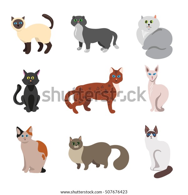 Set Cats Kittens Different Color Feline Stok Vektör (Telifsiz) 507676423