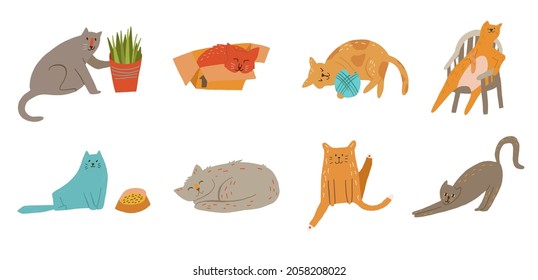 Set of cats knocking off a plant, sleeping in box, playing with yarn ball, sitting, waiting for food, sleeping, grooming leg up, stretching. Vector cartoon flat style illustration.