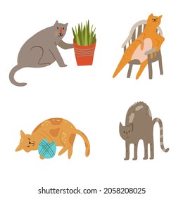 Set of cats knocking off a plant, sitting in chair, playing with yarn ball, arching back. Four vector flat style cartoon hand drawn illustration.
