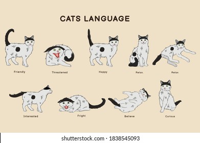 Katzen-Sprache, Vektorgrafik festlegen