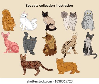 Set cats realistic elements vector 