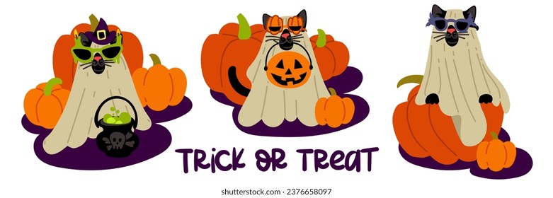 A set of cats in a sheet and glasses for Halloween on the background of pumpkins. Cute black cat with glasses with different decor elements. Funny costume. Flat vector illustration on a white 
