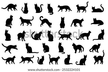 Set of cats silhouette in different poses. Hand drawn black cats  isolated on white background. Vector illustration of Halloween decorative elements for design decor.