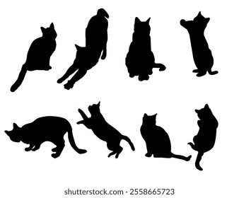 set of cats silhouettes, Cat silhouette vector, black cat silhouette, cats, black silhouette, black cats, set of cat, black cats