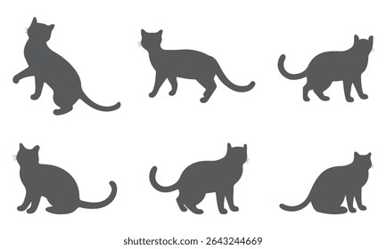 Set of cats Silhouettes on a white background.