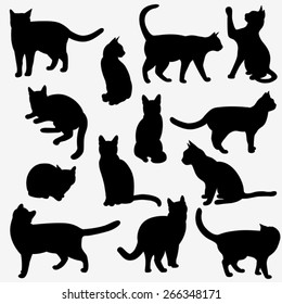 Set of cats Silhouettes on a white background.