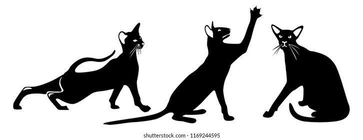 Set of cats silhouettes  playing and isolated on white background. Simple Illustration. Wall art design. Template. Die cutting. Logo. Stamp. 