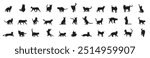 Set of Cats silhouettes Vector illustration