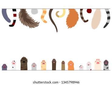 Set of cats tails and paws