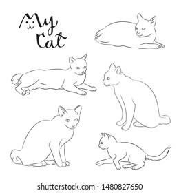 Set of cats thin line icon, animal free hand drawing isolated, kitty pet cartoon sitting on the ground coloring page.