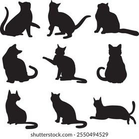 Set of cats varities style vector illustration