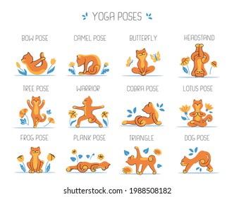 El conjunto de gatos y yoga La colección de animales divertidos es buena para los diseños de logotipo. Las poses de yoga son una ilustración vectorial