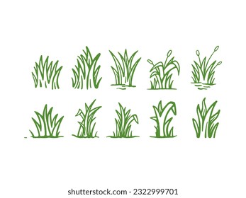 Set of Cattail grass logo design vector illustration with hand drawn style