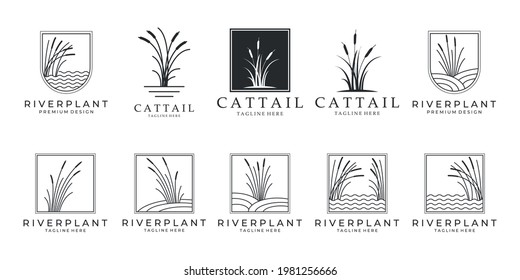 Set Cattails Logo Bundle Vector Illustration Design, Cattail Icon.