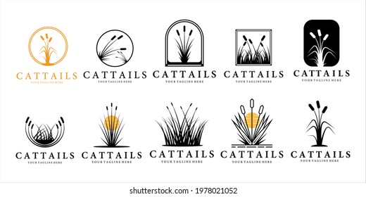 set of cattails or reed logo vintage vector illustration template design. bundle collection of cattails or grass or reeds logo concept for plants and nature vintage design