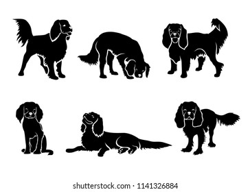 Conjunto de siluetas de perro Cavalier King Charles Spaniel - ilustración vectorial aislada