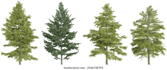 set of Cedrus trees on transparent background
