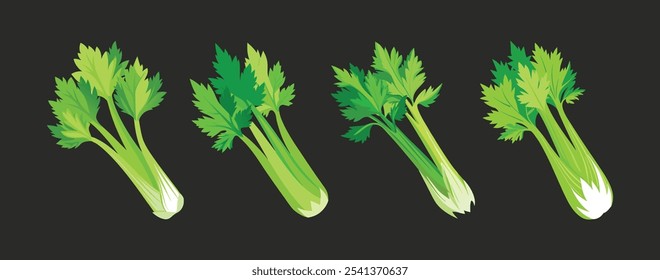 set of celery vector illustration on dark background 