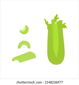 set of celery, whole, stick and slices. vector illustration isolated on white background. Collection of green veggie 