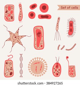 Set Of Cells. Bacteria, Virus, DNA, Blood Cell, Animal Cell. Vector Illustration. EPS8