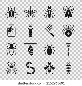 Set Centipede, Fly swatter, Spider, Termite, Larva insect, jar, Beetle bug and Butterfly net icon. Vector