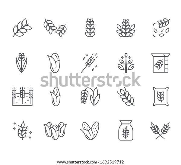 Set of\
cereal Related Vector Line Icons. Includes such Icons as plants,\
wheat, vegetable garden, flour, grain and\
more.