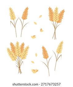 Conjunto de espiguillas de cereal, espigas de trigo, semillas de cereal. Concepto pan o agricultura, alimentos orgánicos. Ilustración vectorial.