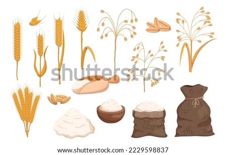 Set of Cereals, Oat and Wheat Seeds and Spikes, Flour in Sack, Bowl and Pile, Gluten Products, Raw Farmer Grains and Stalks Isolated on White Background. Cartoon Vector Illustration