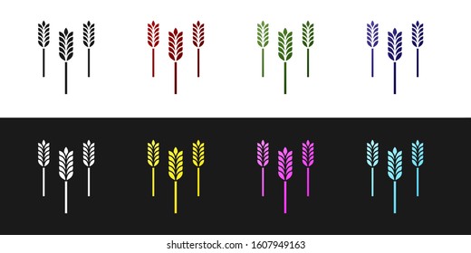 Set Cereals set with rice, wheat, corn, oats, rye, barley icon isolated on black and white background. Ears of wheat bread symbols.  Vector Illustration