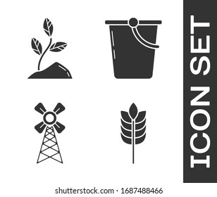 Coloque los cereales con el arroz, trigo, maíz, avena, centeno, brote, molino de viento y icono del cubo. Vector