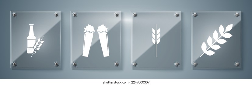 Poner los cereales a la venta con arroz, trigo, maíz, avena, centeno, cebada, cereales con arroz, trigo, maíz, avena, centeno, cebada, vaso de cerveza y botella de cerveza. Paneles de vidrio cuadrado. Vector