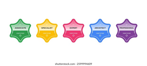 Set certificate badge hexagon template vector illustration
