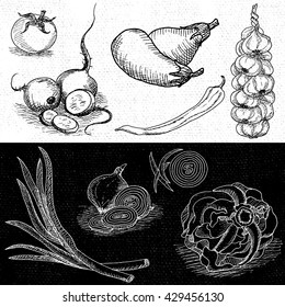 Set of chalk hand drawn, in sketch style, food and spices, black and white chalkboard background. Eggplant, onions, cabbage, garlic, tomato, pepper, radish, turnip, beets. Vector illustration.