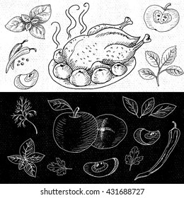 Set of chalk hand drawn, in sketch style, food and spices, black and white chalkboard background.  Roasted grill chicken. Chicken, apples, onion, pepper, tomato, cucumber, basil. Vector illustration.