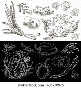 Set of chalk hand drawn, in sketch style, food and spices, black and white chalkboard background. Vegetables set cabbage, cauliflower, onions, mushrooms, bell pepper. Hand drawn vector illustration.
