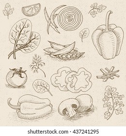 Set of chalk hand drawn, in sketch style, food and spices, old paper textured background.  Mushrooms, onions, tomato, lemon, peas. Hand drawn vector illustration.