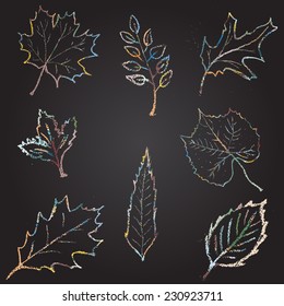 Set of chalk painted colorful leaves.