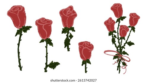Set chalk rose flowers. Botanic blossom floral branches with leaves, bud on stem. Hand drawn garden valentine love roses plant collection. Freehand vintage pencil textured vector illustration isolated