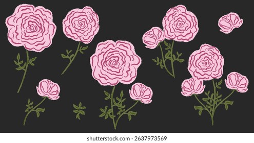 Set chalk rose, peony flowers. Botanic blossom floral branches, leaves, bud on stem. Hand drawn garden peonies or roses plant collection. Freehand vintage pencil textured vector illustration isolated