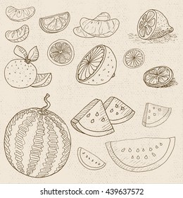 Set of chalk sketch hand drawn, in sketch style, food and spices, old paper textured background. Fruit set watermelon, lemon, orange, mandarin, grapefruit, sliced. Hand drawn vector illustration.
