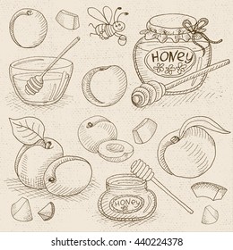 Set of chalk sketch hand drawn, in sketch style, food and spices, old paper textured background. Sweet Set with honey, peach, apricot, plum and funny bee. Hand drawn vector illustration.