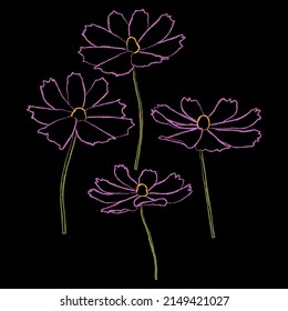 Set of chalk style cosmos flower branch vector simple illustration isolated on black background. Outline hand drawn colored version. Floral vector for childrens illustration, summer design.
